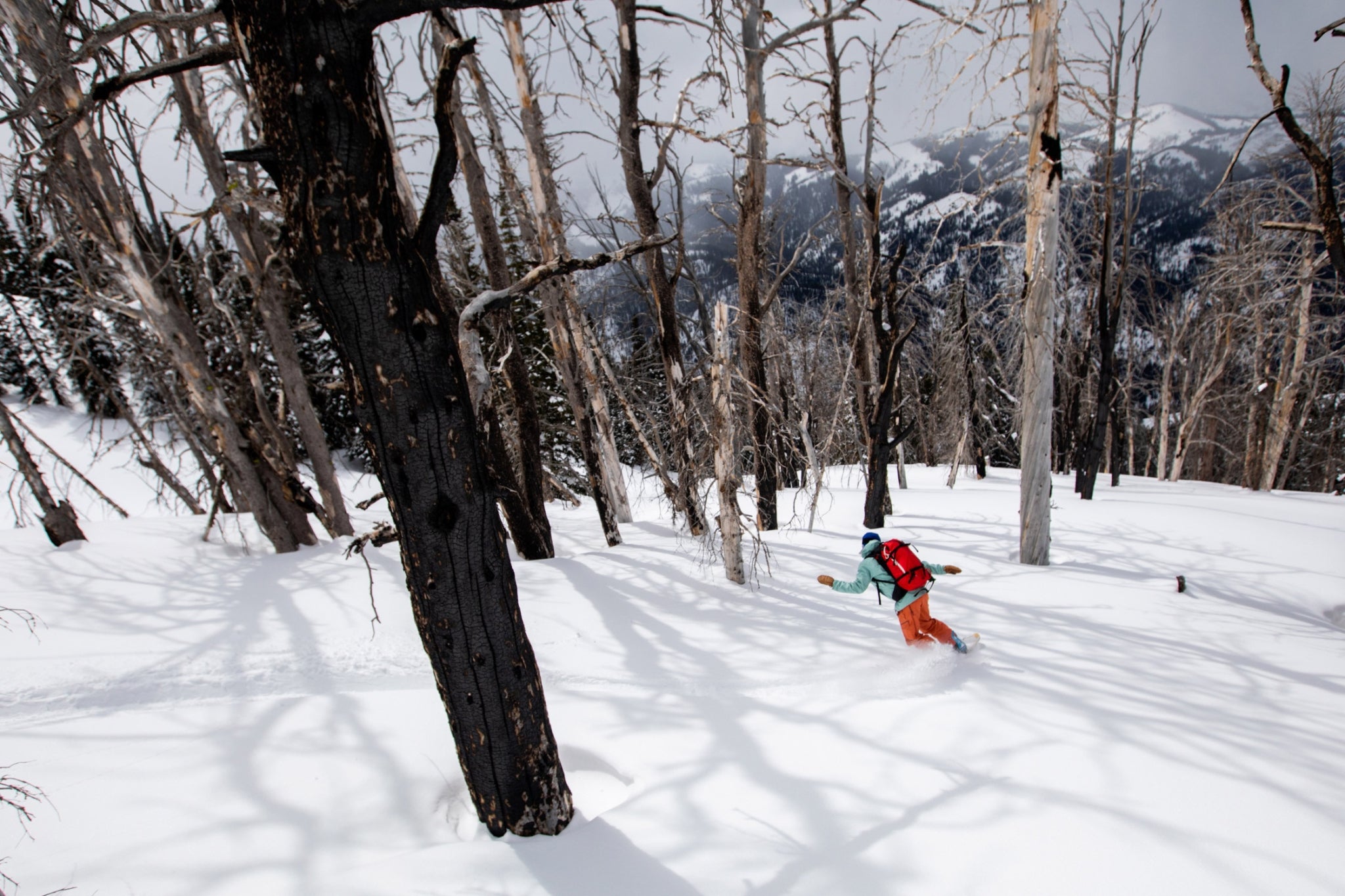 Emilé Zynobia glides through an eerie, yet beautiful burned area near Jackson, Wyoming. Photo: Sofia Jaramillo