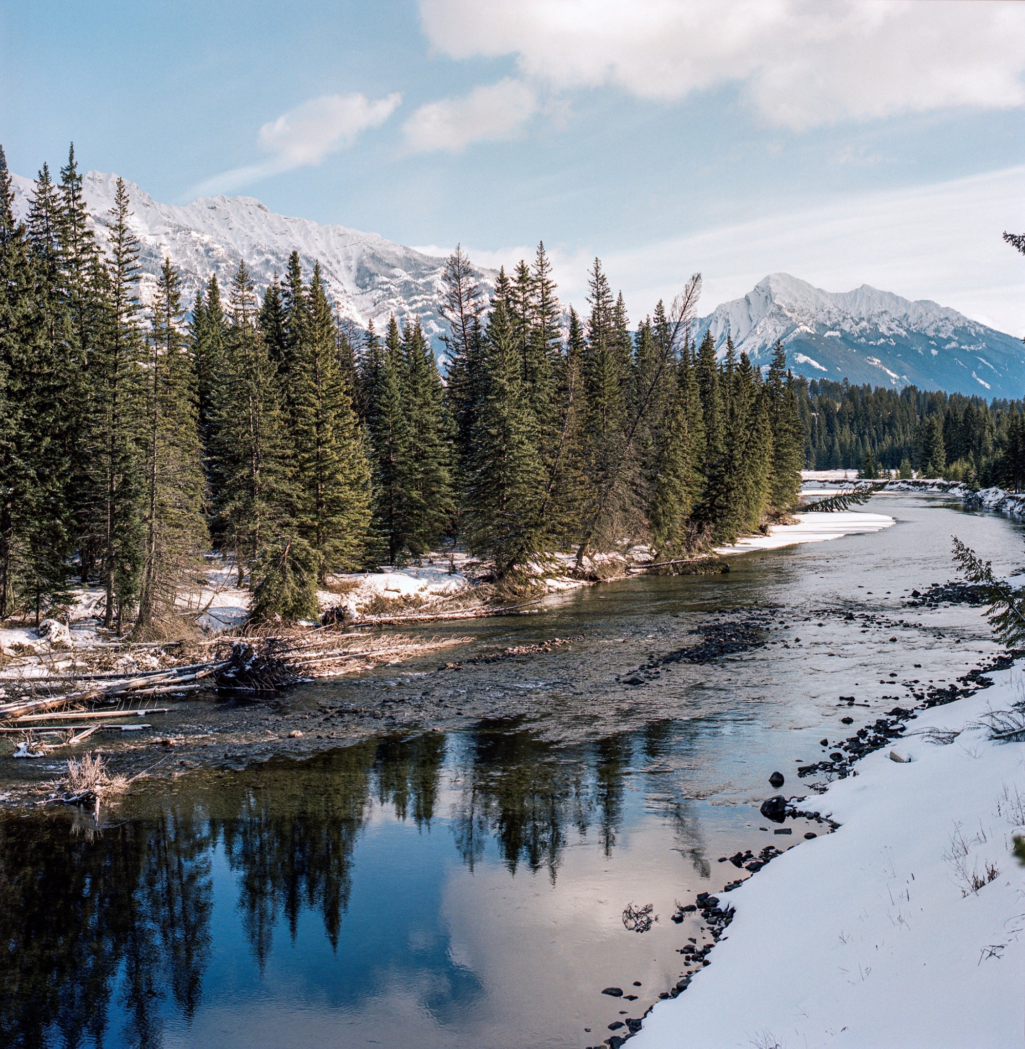 What’s a river without its fish? The Elk River flowing through Qukin ʔamakʔis (“Raven’s Land”), traditional territory of the Ktunaxa Nation, as it approaches Elkford, British Columbia. Celebrated for its world-class fly fishing, the Elk River is also now known for unhealthy levels of selenium directly linked to nearby mining operations, which have brought fish populations to the brink of collapse. Photo: Kari Medig