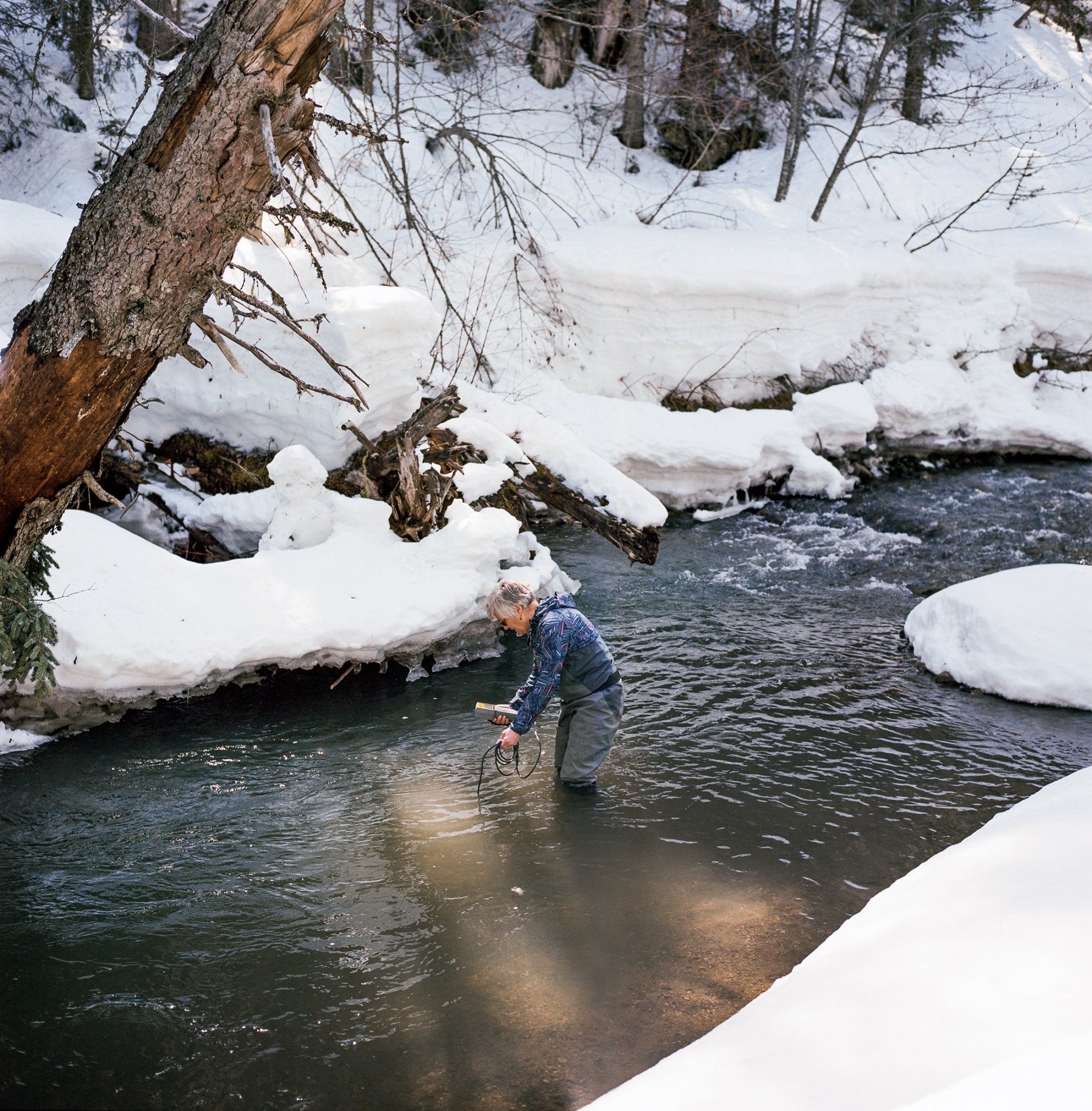 Lee-Anne Walker, executive director of the Elk River Watershed Alliance, tests for turbidity on Lizard Creek near Fernie, BC. Lizard Creek is used as a control site because it is one of a few mostly undeveloped tributaries of the Elk River. Photo: Kari Medig