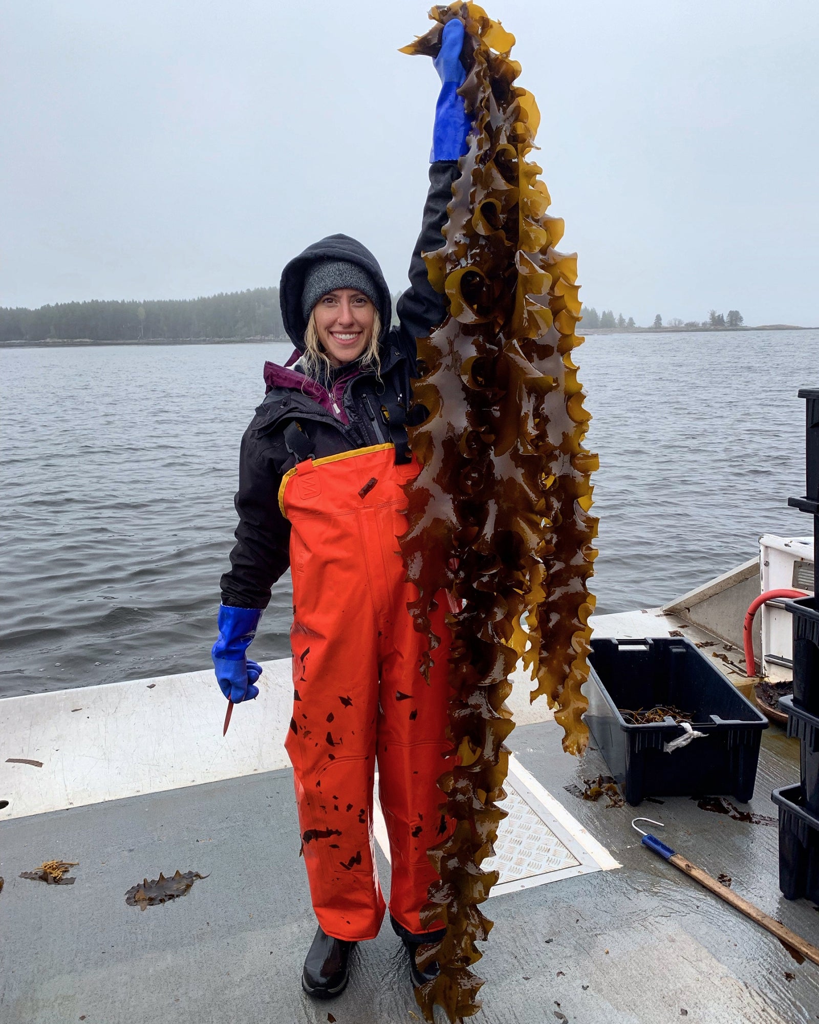 Morgan-Lea Fogg, cofounder of Nautical Farms, holds up long blades of sugar kelp grown on their farm in Maine.
