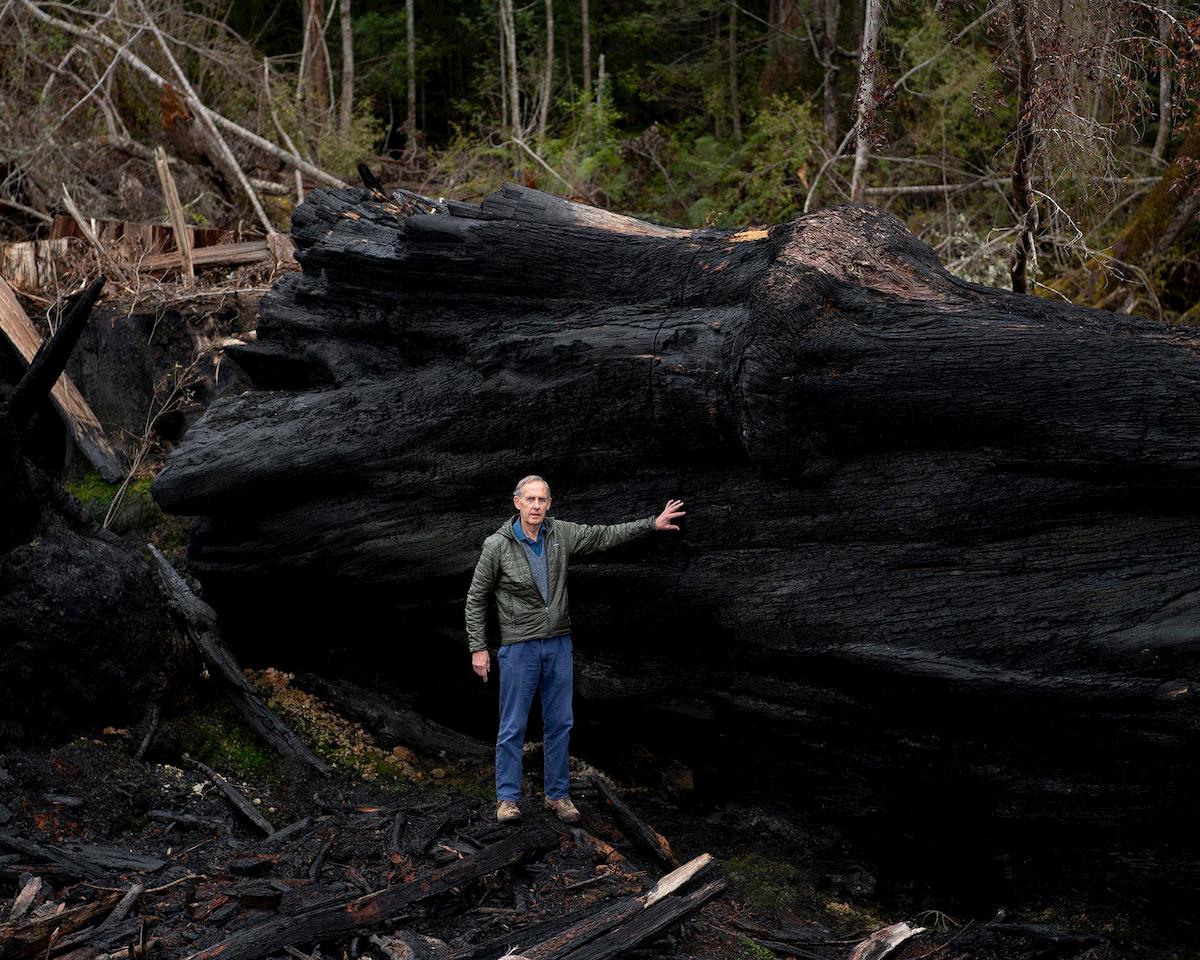 Bob Brown stands with a felled giant, truck twice his height, left behind after logging.