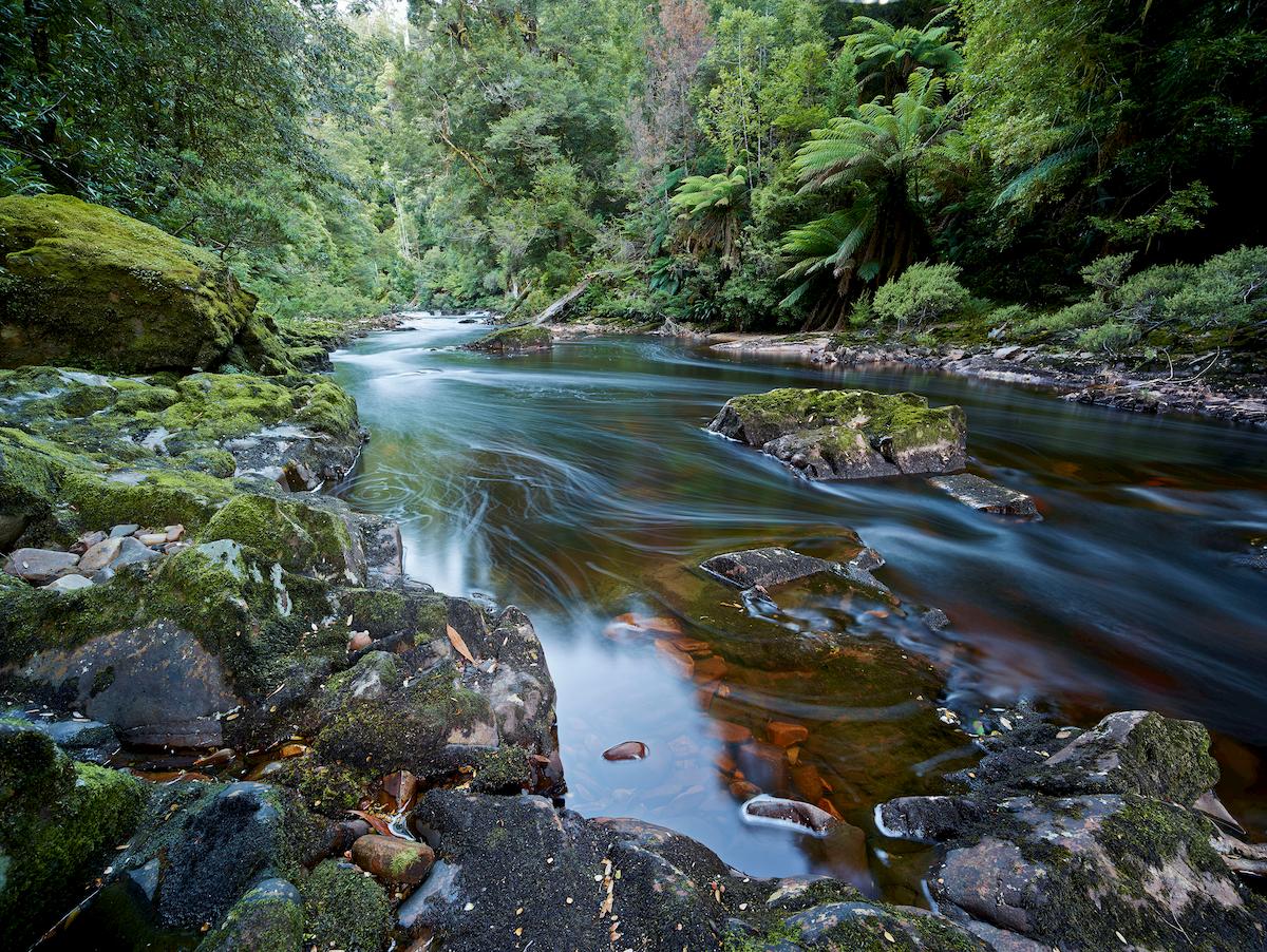 takayna/Tarkine