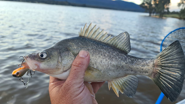 Lure Fishing at Lake Nillahcootie