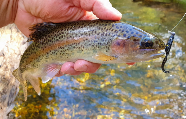 trout on strike tiger nymph fishing lure