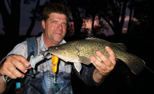 Murray Cod Opening Lure for 2020