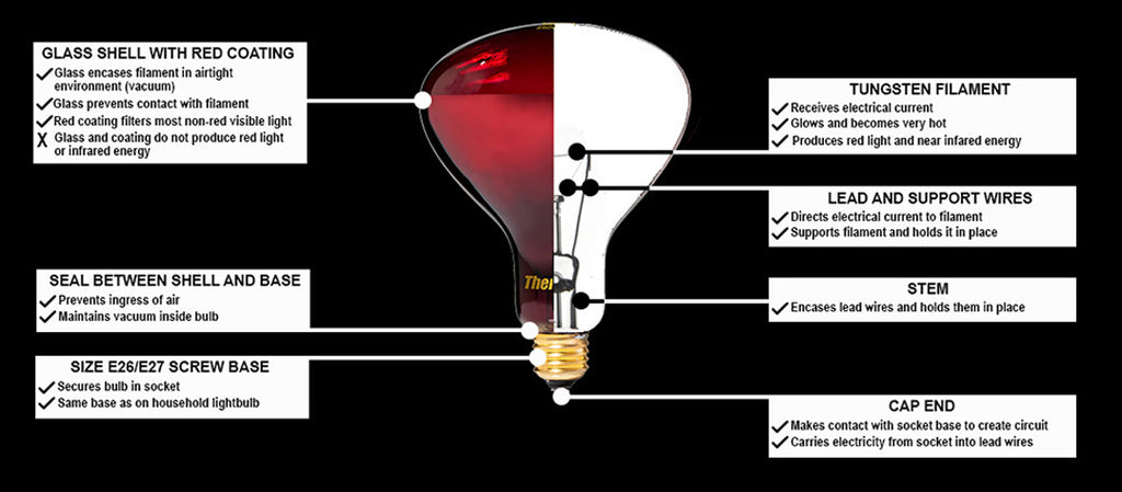 infographic showing components of TheraBulb zero EMF incandescent infrared bulb