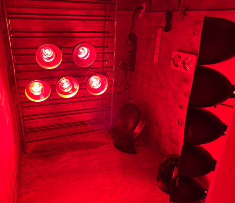 Interior of DIY infrared home sauna showing 300W TheraBulb near infrared bulbs also called heat lamp bulb