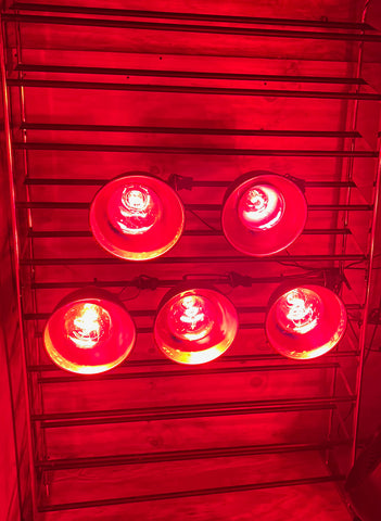 DIY infrared home sauna interior showing heat lamp bulbs mounted on racks