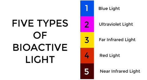 bioactive light types