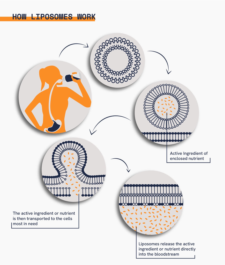 Liposomal Vitamins Process