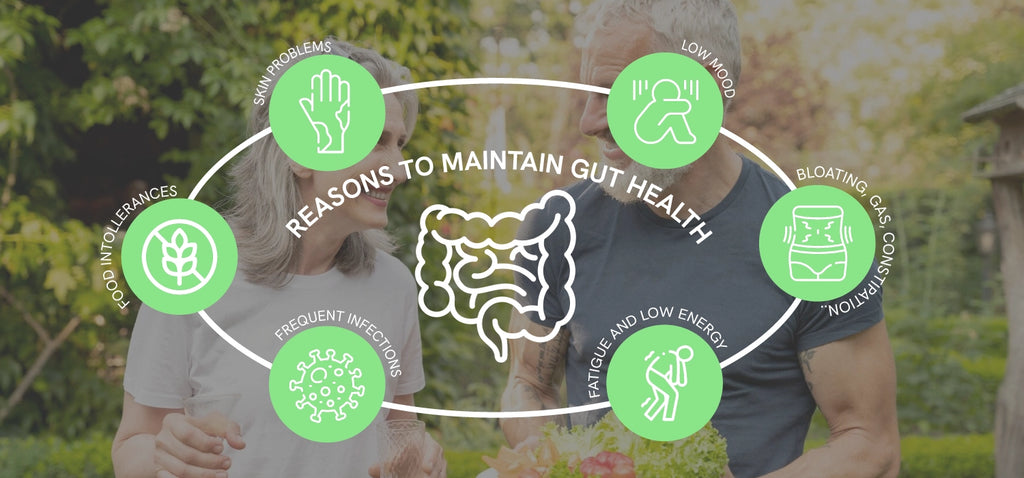 Improve your Gut Health