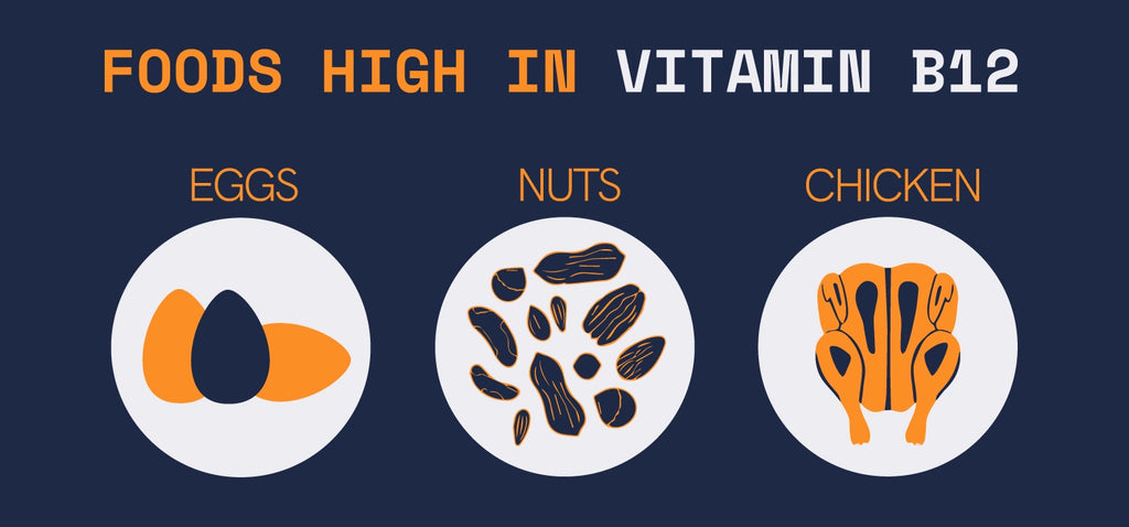 Reichhaltige Lebensmittel mit Vitamin B12