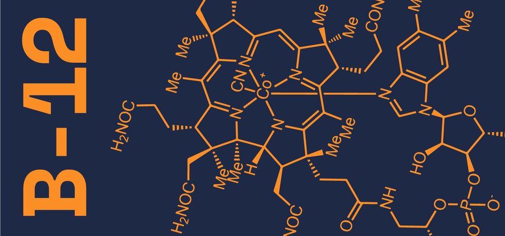 B12 Vitaminer