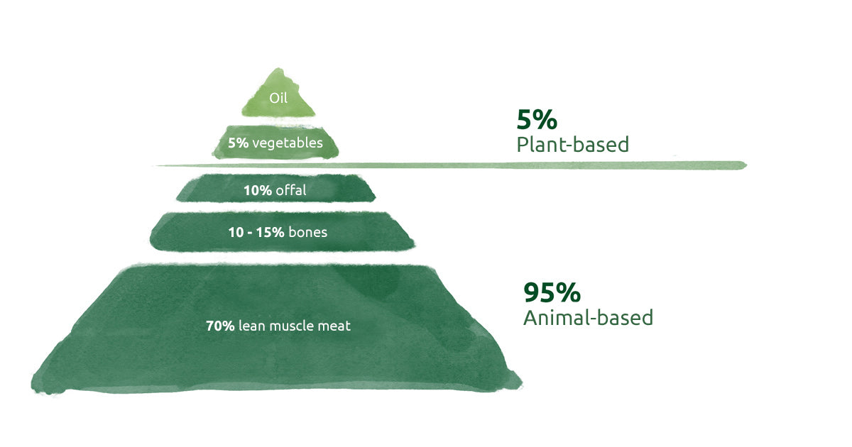 BARF Cat - food pyramid