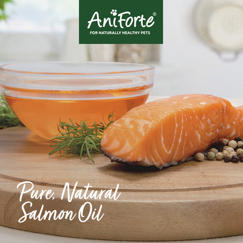 Salmon Oil