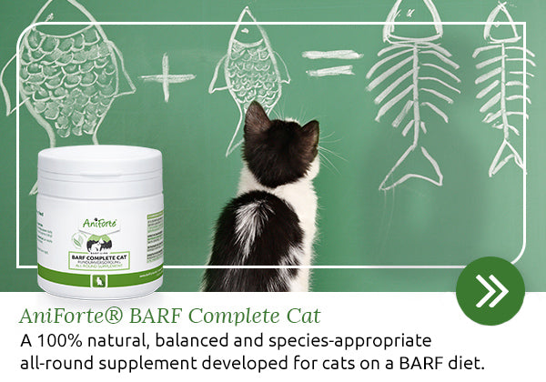 BARF Complete for cats