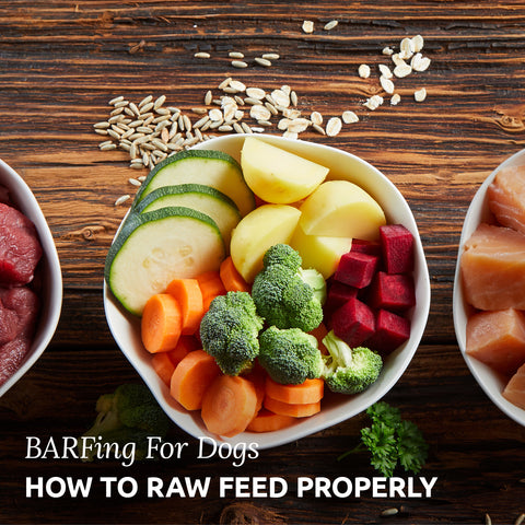 How To Raw Feed/BARF Your Dog Properly