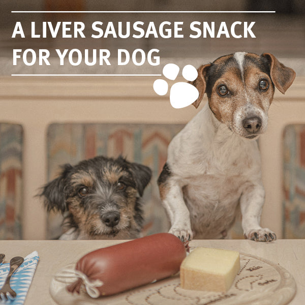 Liver sausage for your dog