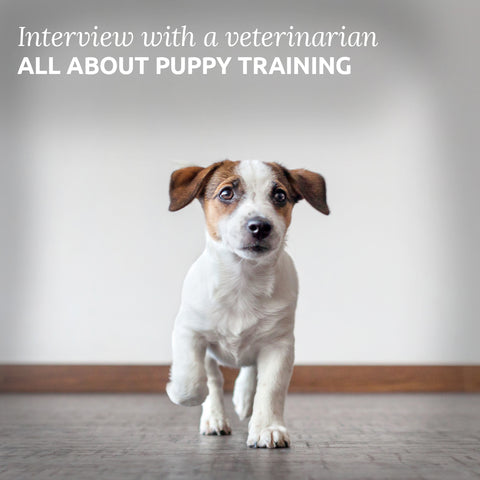 Puppy Training