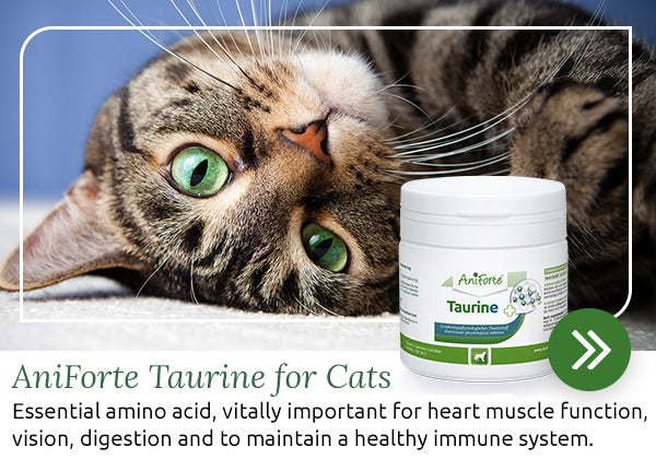 Taurine for cats