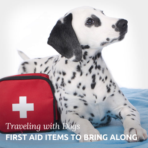 First aid kit for your holiday