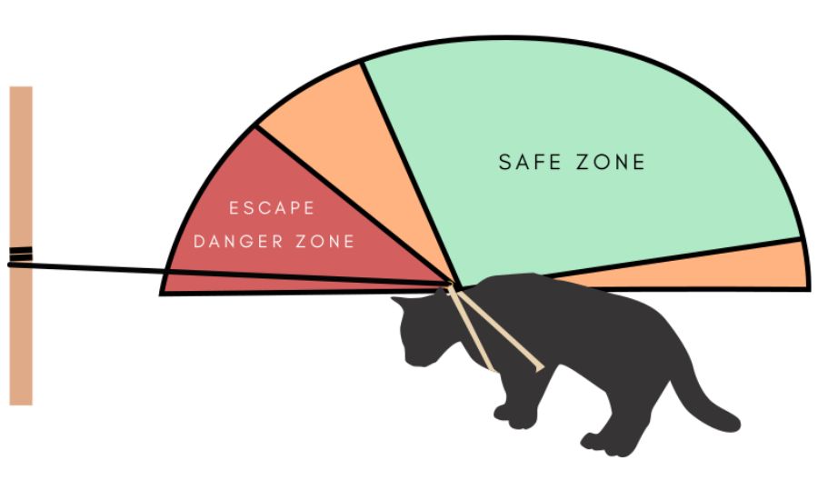 cat on leash diagram