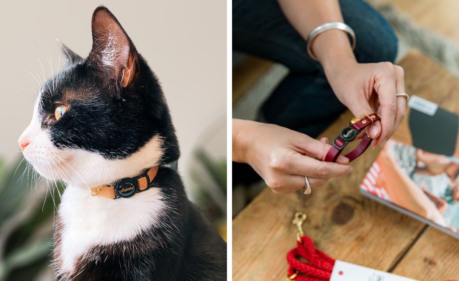 Are breakaway cat collars safe?