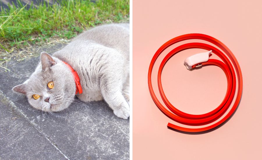 Are cat flea collars safe?