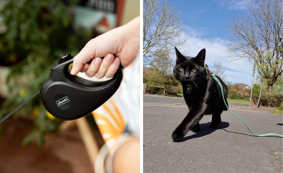 The Supakit retractable leash and fixed walking leash for cats