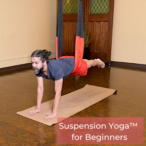 Suspension Stand – The Flying Yogi