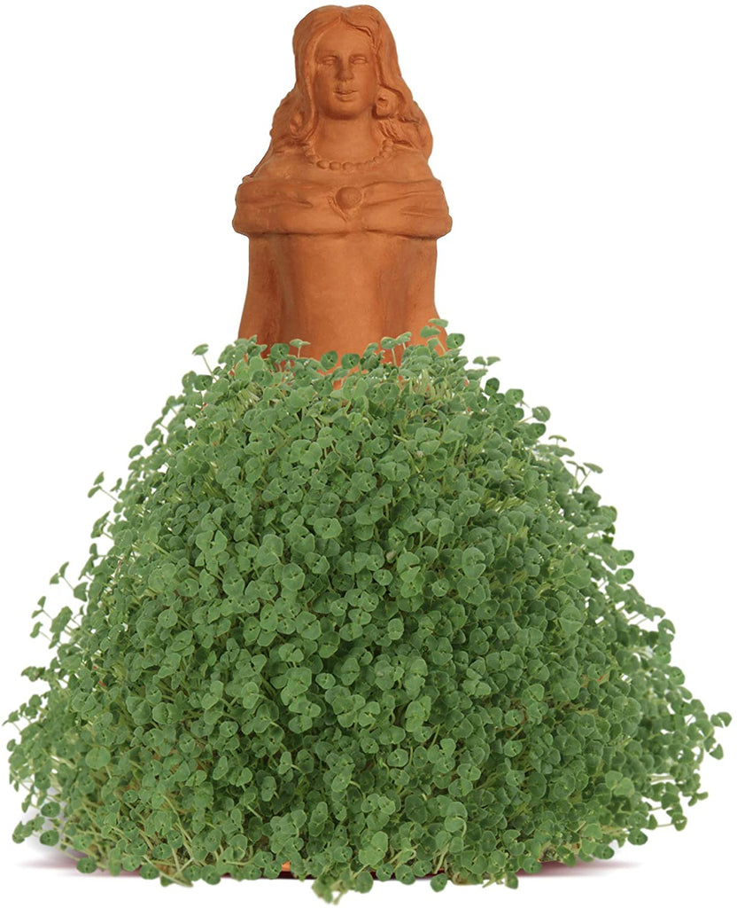 Star Wars The Mandalorian Baby Yoda GROGU aka THE CHILD Chia Pet planter