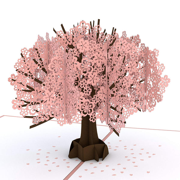 cherry blossom pop up card