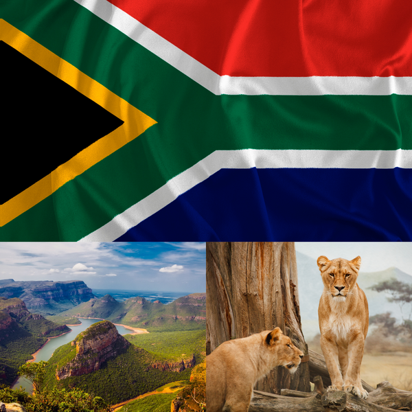 South Africa - Parks and Animals - THE SPACE gallery