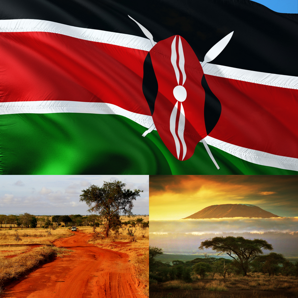 Kenyan National Park Introduction