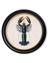 C1876. Crayfish - Round Frame