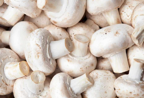 Can rabbits eat mushrooms?