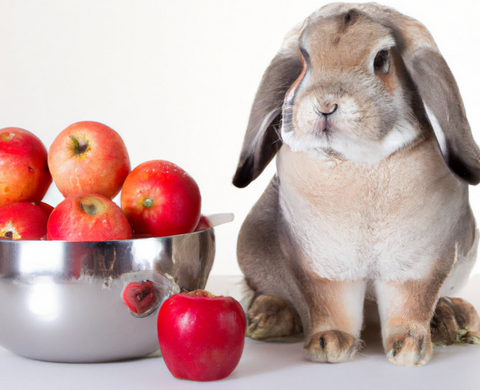 Can rabbits eat apples?