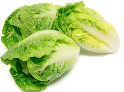 Can rabbits eat cos lettuce?