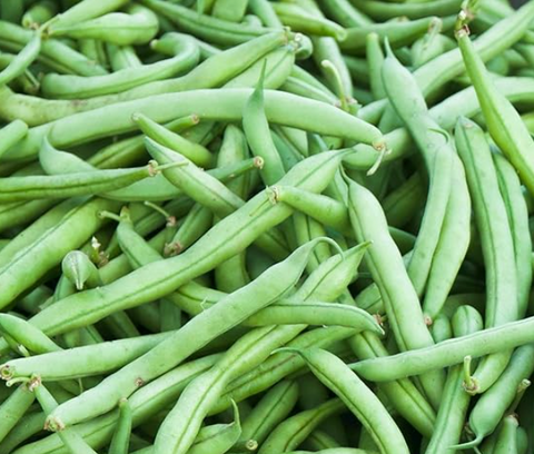 Green beans for rabbits