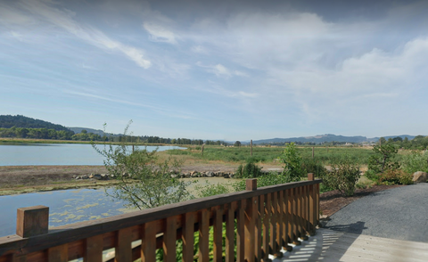 Fernhill Wetlands near Hillsboro Oregon