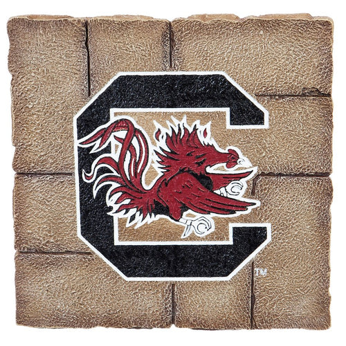 South Carolina Gamecocks Team Stepping Stone