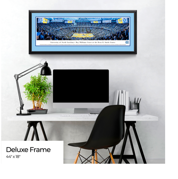 Carolina Panthers Panoramic Poster