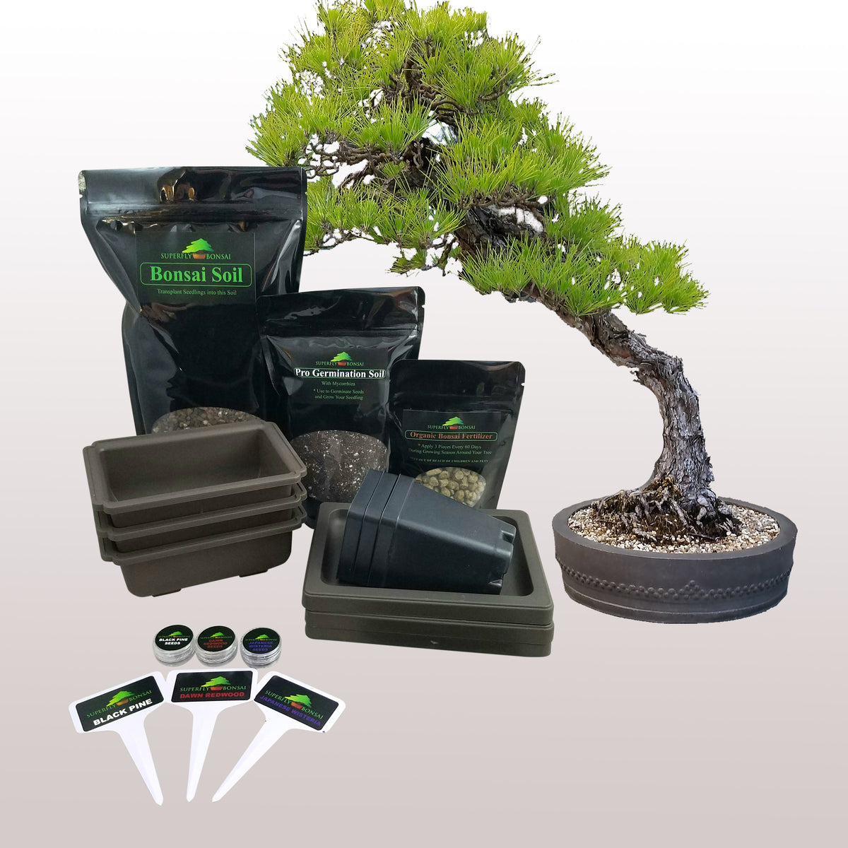 Great Best Bonsai Tree Kit of the decade The ultimate guide 