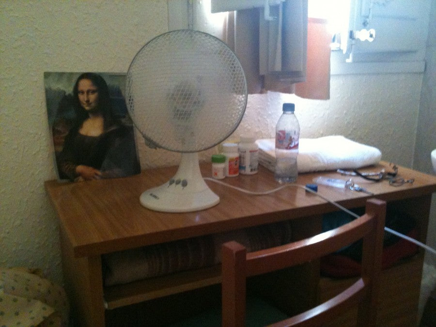 My friend in solitude: Mona Lisa.