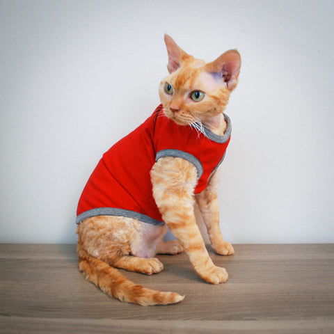 Cat Clothes  Cat Clothing  Clothes for Cats  Cattoure  Devon Rex Clothes and Sphynx Clothes