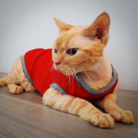 Cat Clothes | Cat Clothing | Clothes for Cats | Cat-toure | Devon Rex ...