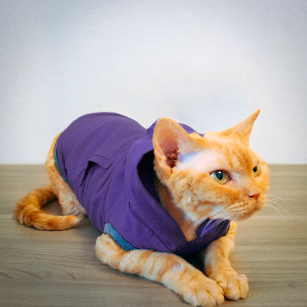 Cat Clothes | Cat Clothing | Clothes for Cats | Cat-toure | Devon Rex ...