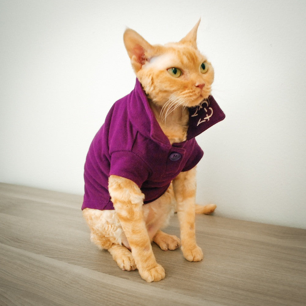 Cat Clothes | Cat Clothing | Clothes for Cats | Cat-toure | Devon Rex ...