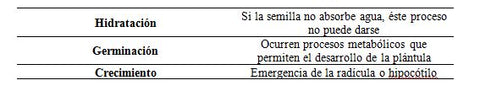 Germinación de las semillas