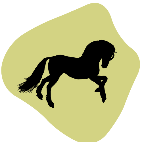 categoria caballos